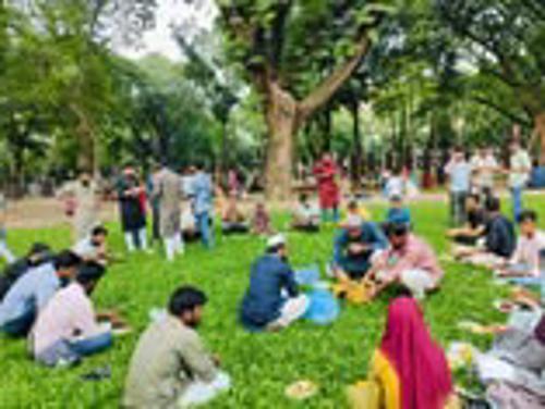 Fruits Festival