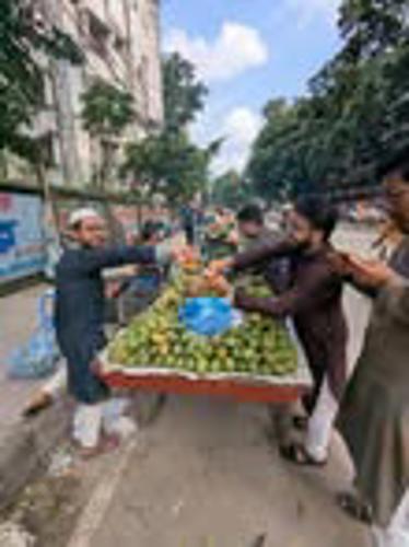 Fruits Festival