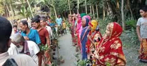 Tree Plantation Program